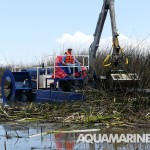 Aquamarine Crane Boats