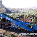 Aquamarine Shore Conveyors - SC 3730