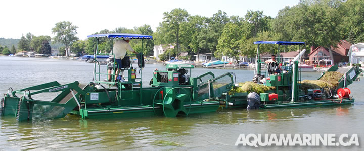 Aquamarine Aquatic Transporters