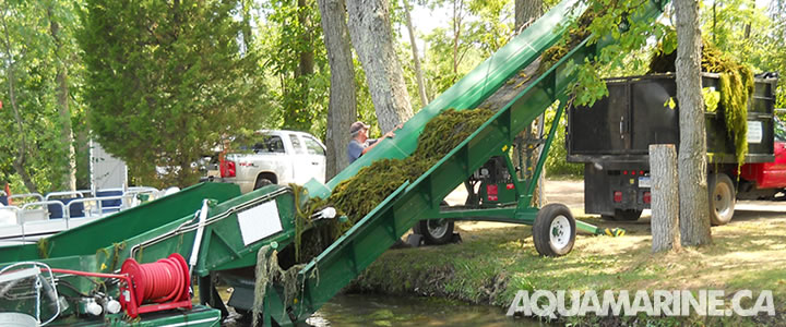 Aquamarine Shore Conveyors