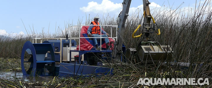 Aquamarine Crane Boats