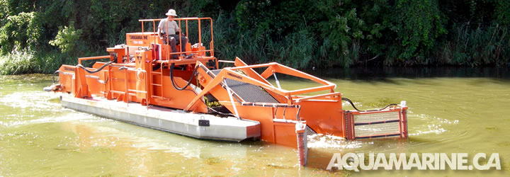 Aquamarine Aquatic Skimmers - AQS 200